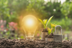 Securing your creativity and brand